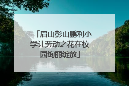 眉山彭山鹏利小学让劳动之花在校园绚丽绽放