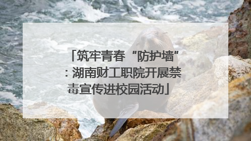 筑牢青春“防护墙”：湖南财工职院开展禁毒宣传进校园活动
