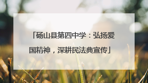 砀山县第四中学：弘扬爱国精神，深耕民法典宣传