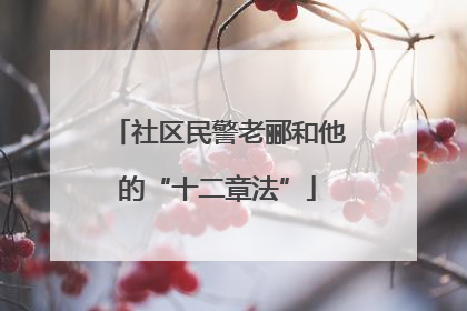 社区民警老郦和他的“十二章法”