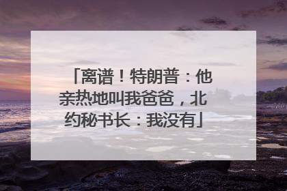 离谱！特朗普：他亲热地叫我爸爸，北约秘书长：我没有