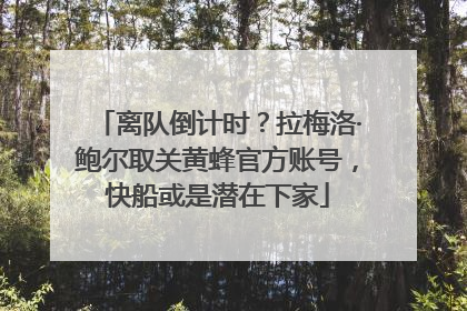 离队倒计时？拉梅洛·鲍尔取关黄蜂官方账号，快船或是潜在下家