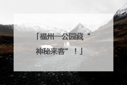 福州一公园藏“神秘来客”！