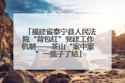 福建省泰宁县人民法院“背包红”党建工作机制——茶山“案中案”一揽子了结
