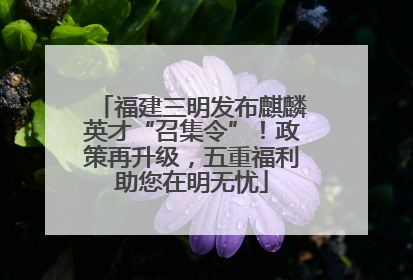 福建三明发布麒麟英才“召集令”！政策再升级，五重福利助您在明无忧