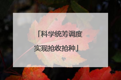 科学统筹调度实现抢收抢种