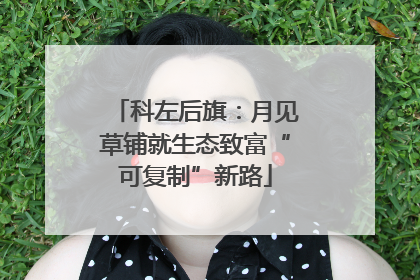 科左后旗：月见草铺就生态致富“可复制”新路