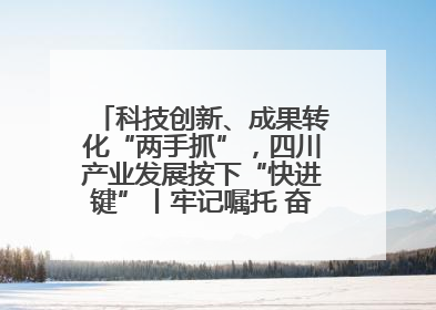 科技创新、成果转化“两手抓”，四川产业发展按下“快进键”丨牢记嘱托 奋力打造两高地两基地一屏障