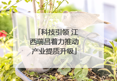科技引领 江西瑞昌着力推动产业提质升级
