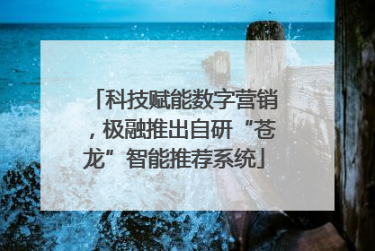 科技赋能数字营销，极融推出自研“苍龙”智能推荐系统