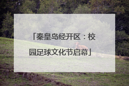 秦皇岛经开区：校园足球文化节启幕