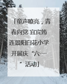 童声嘹亮，青春向党 宜宾筠连景阳白花小学开展庆“六·一”活动
