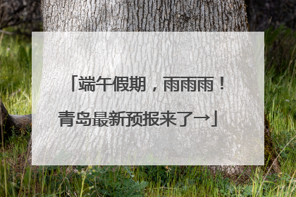 端午假期，雨雨雨！青岛最新预报来了→