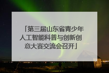 第三届山东省青少年人工智能科普与创新创意大赛交流会召开