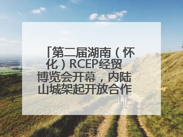 第二届湖南（怀化）RCEP经贸博览会开幕，内陆山城架起开放合作新桥梁