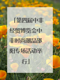 第四届中非经贸博览会中非时尚潮品邵阳专场活动举行