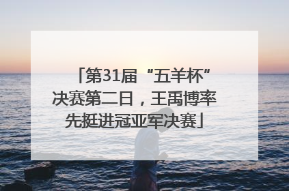 第31届“五羊杯”决赛第二日，王禹博率先挺进冠亚军决赛