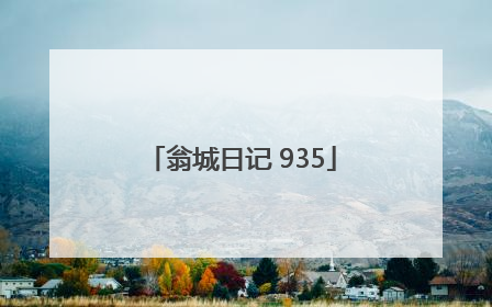 翁城日记 935