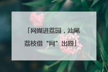 网媒进荔园，汕尾荔枝借“网”出圈