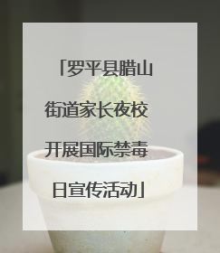 罗平县腊山街道家长夜校开展国际禁毒日宣传活动
