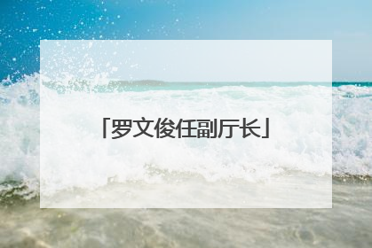 罗文俊任副厅长