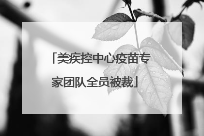 美疾控中心疫苗专家团队全员被裁