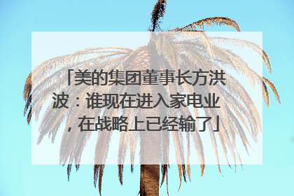 美的集团董事长方洪波：谁现在进入家电业，在战略上已经输了