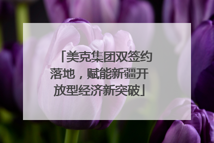 美克集团双签约落地，赋能新疆开放型经济新突破