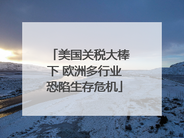 美国关税大棒下 欧洲多行业恐陷生存危机
