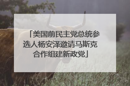 美国前民主党总统参选人杨安泽邀请马斯克合作组建新政党