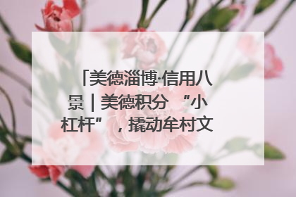 美德淄博·信用八景｜美德积分 “小杠杆”，撬动牟村文明 “大能量”