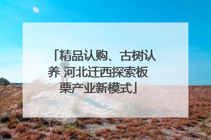 精品认购、古树认养 河北迁西探索板栗产业新模式