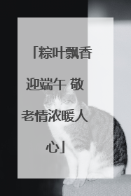 粽叶飘香迎端午 敬老情浓暖人心