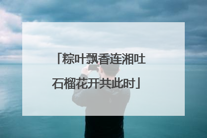 粽叶飘香连湘吐 石榴花开共此时