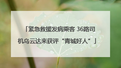 紧急救援发病乘客 36路司机乌云达来获评“青城好人”