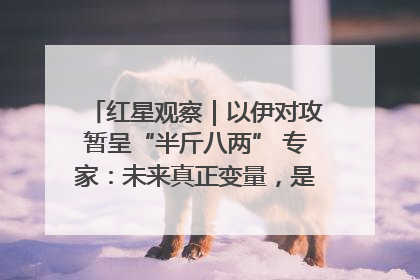 红星观察｜以伊对攻暂呈“半斤八两” 专家：未来真正变量，是美国是否进一步介入