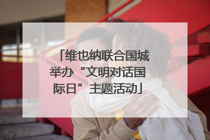 维也纳联合国城举办“文明对话国际日”主题活动