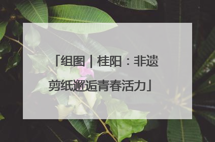 组图｜桂阳：非遗剪纸邂逅青春活力