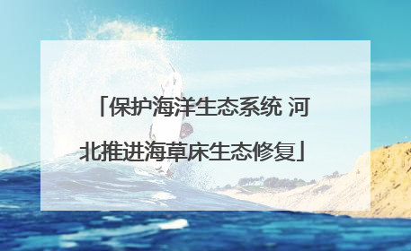 保护海洋生态系统 河北推进海草床生态修复