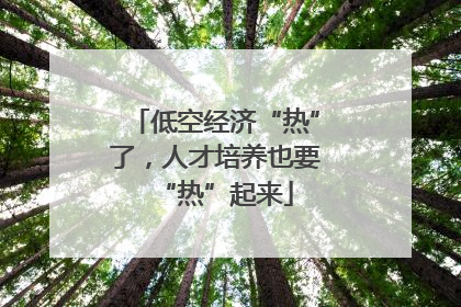 低空经济“热”了,人才培养也要“热”起来