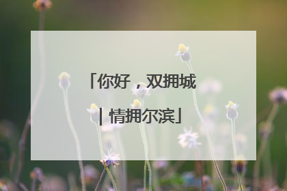 你好，双拥城｜情拥尔滨