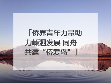 侨界青年力量助力嵊泗发展 同舟共建“侨爱岛”