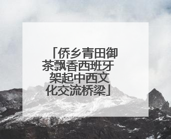 侨乡青田御茶飘香西班牙 架起中西文化交流桥梁