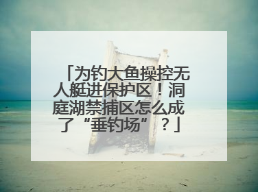 为钓大鱼操控无人艇进保护区！洞庭湖禁捕区怎么成了“垂钓场”？