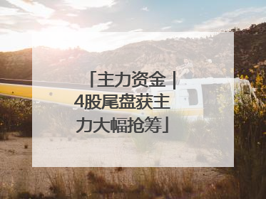 主力资金｜4股尾盘获主力大幅抢筹