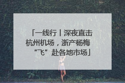 一线行丨深夜直击杭州机场，浙产杨梅“飞”赴各地市场