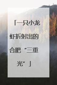 一只小龙虾折射出的合肥“三重光”