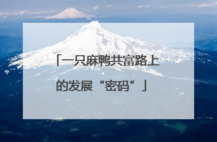 一只麻鸭共富路上的发展“密码”