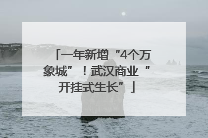 一年新增“4个万象城”！武汉商业“开挂式生长”