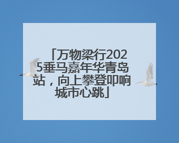 万物梁行2025垂马嘉年华青岛站，向上攀登叩响城市心跳